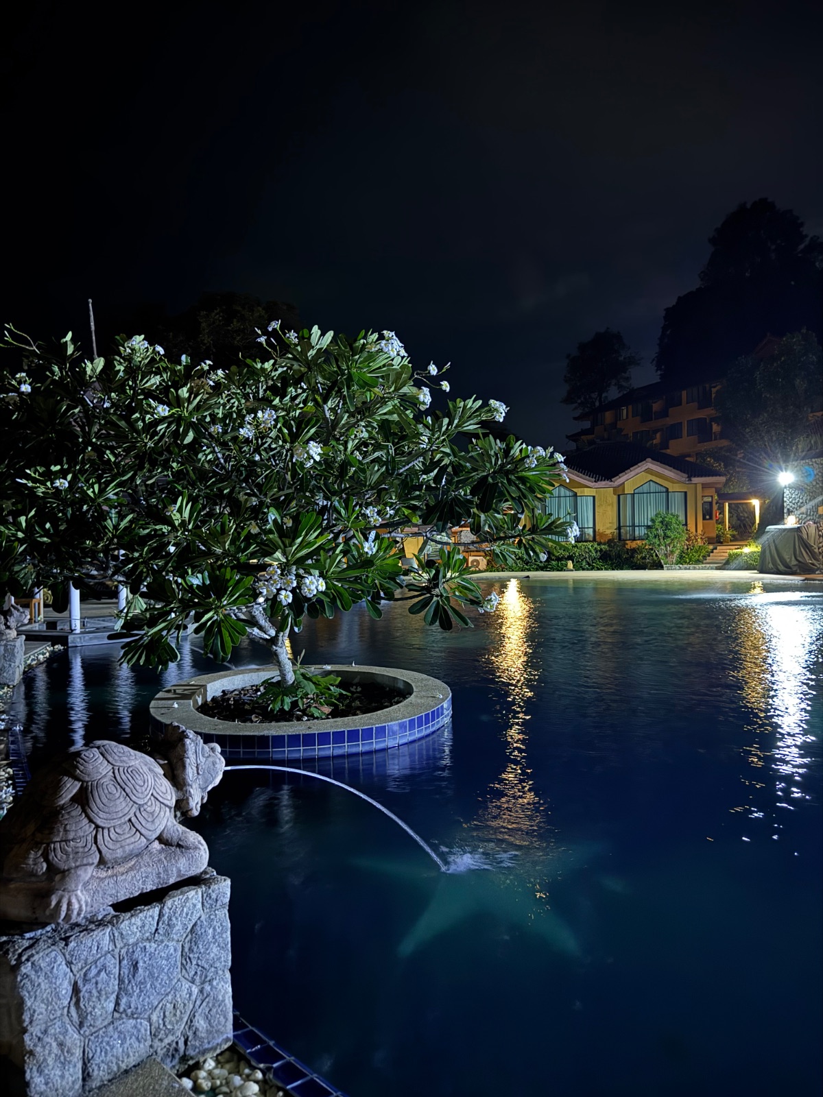 Piscine de l'hôtel de nuit à Phuket, avec un frangipanier en fleurs et une statue de tortue en pierre