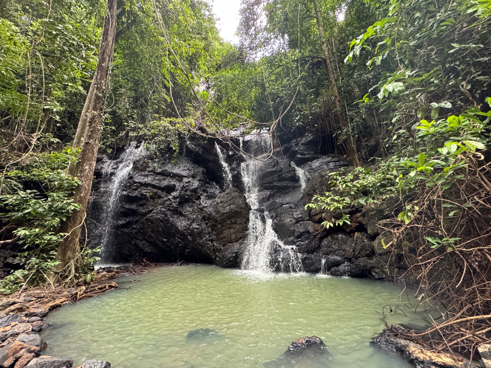 Petite cascade de Koh Yao Noi tombant sur des roches noires dans la jungle, bassin naturel en contrebas