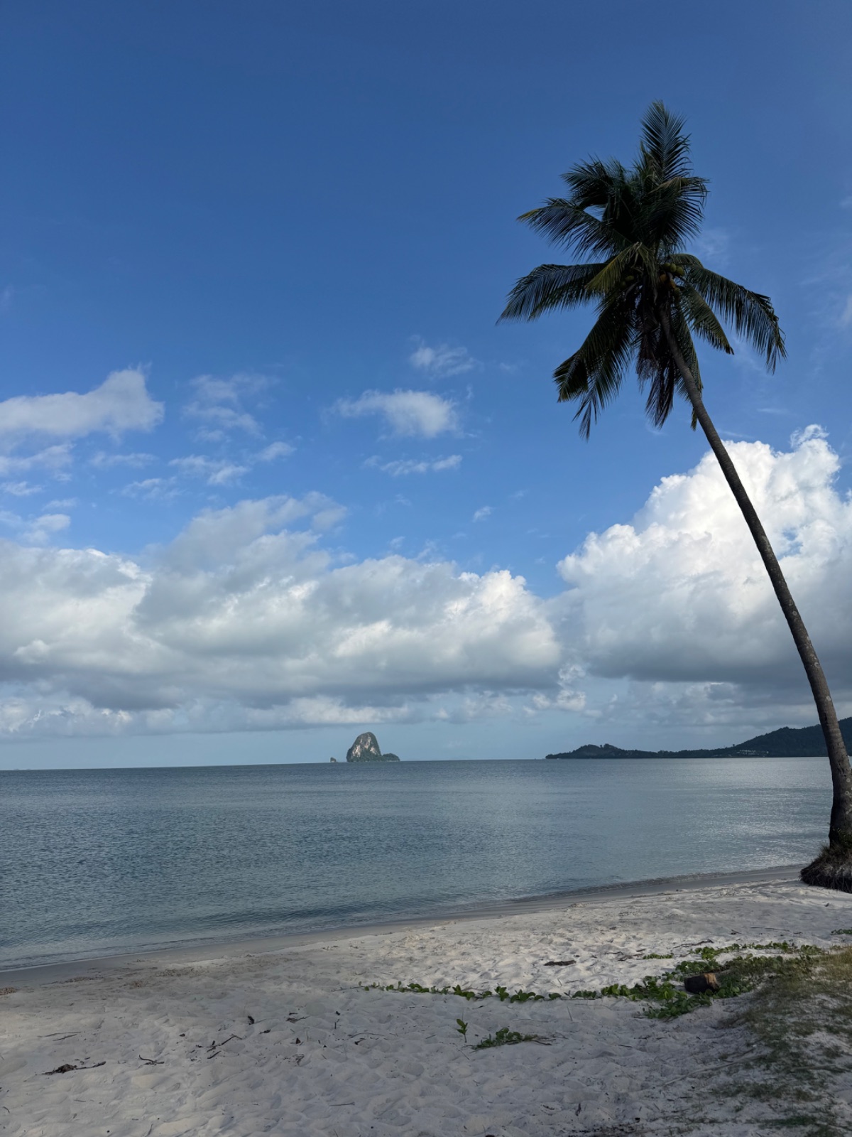 Plage de Koh Yao Noi vue à travers une palme de cocotier, banc de sable et îlots à l'horizon