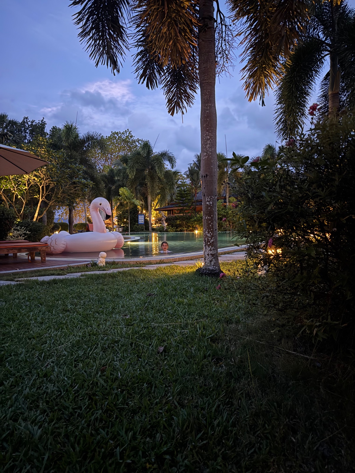 Piscine du Laguna Villa au crépuscule avec sa bouée flamant rose géante, palmiers et villas autour
