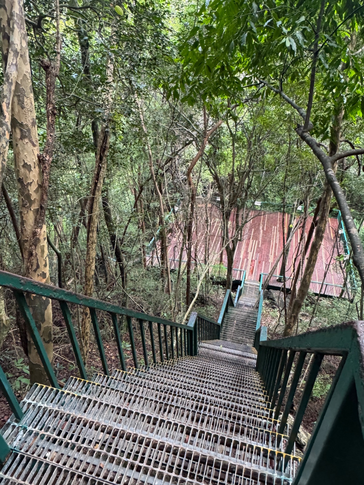Escalier aménagé grimpant dans la jungle vers le point de vue à 360 degrés de Koh Hong