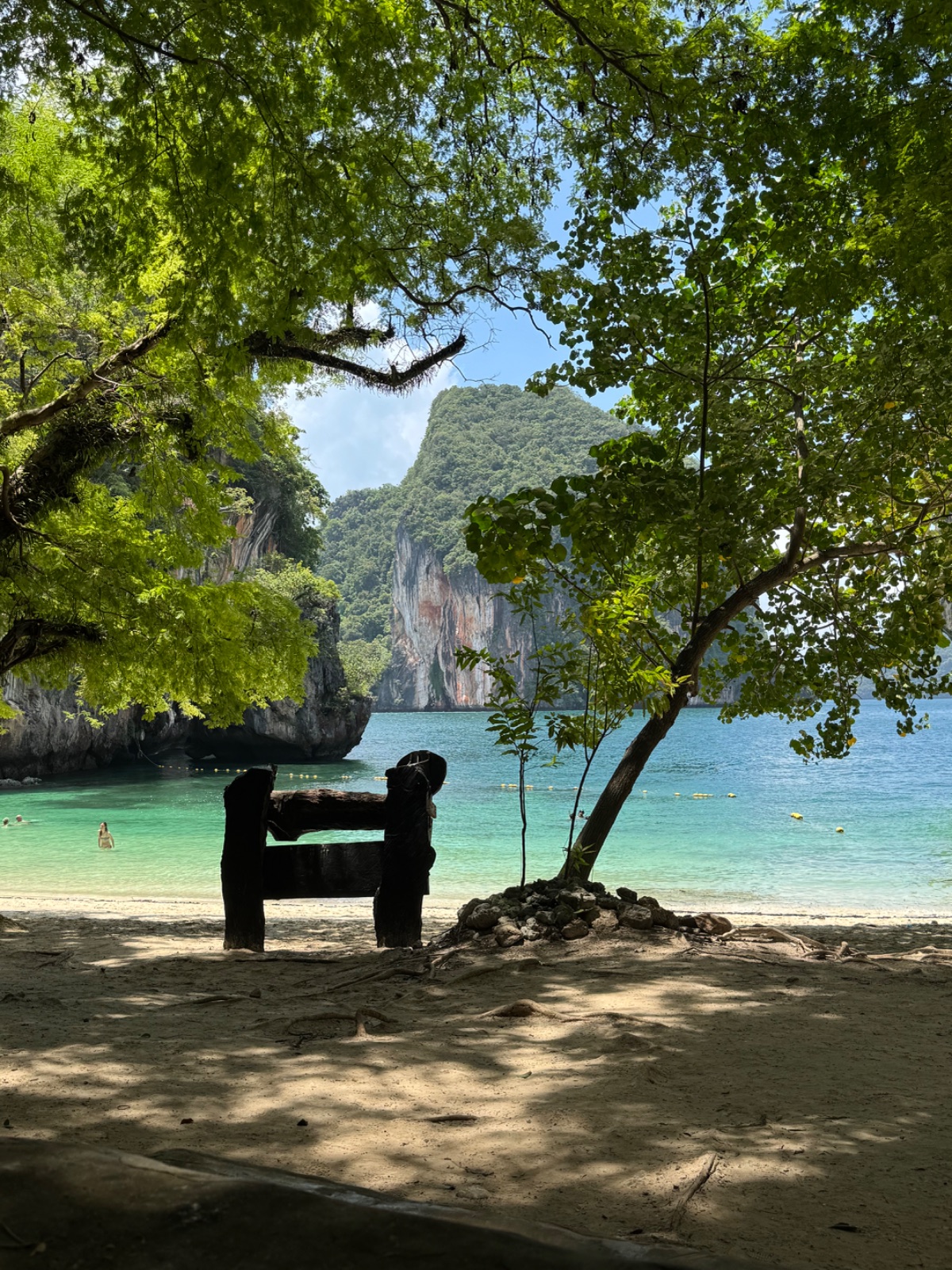Banc à l'ombre d'un grand arbre face à la plage et aux falaises karstiques, spot de pique-nique de l'excursion