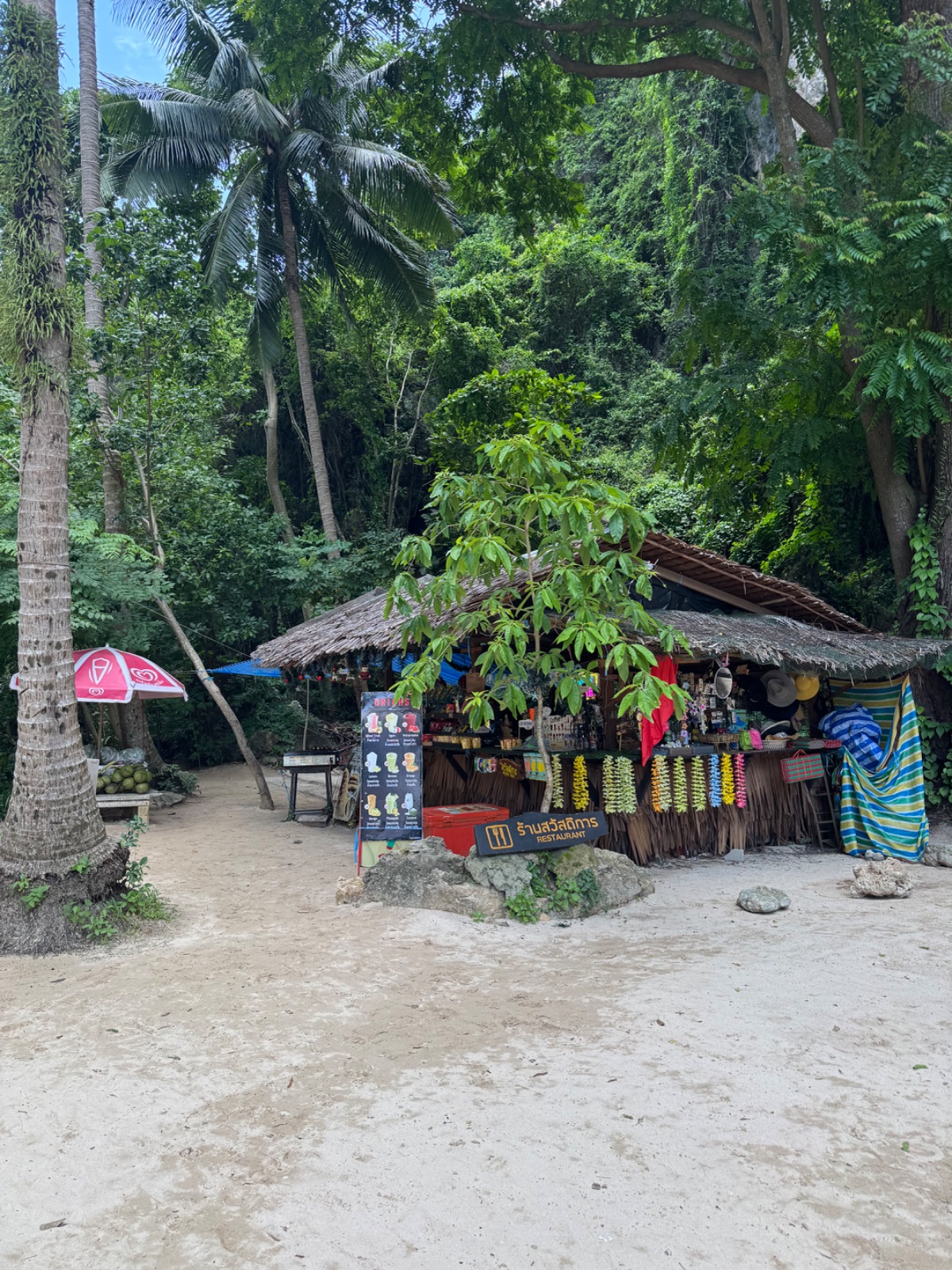 Petite échoppe de plage sous les arbres où l'on grille du maïs au barbecue, entre les falaises
