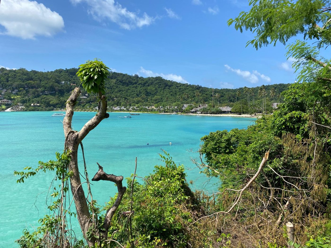 Baie turquoise et plage bordée de villas au SAii Phi Phi Island Village Resort, Koh Phi Phi